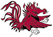 Picture of Williams-Brice Stadium Endzone